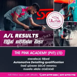 The Pink Academy