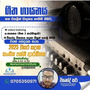 Music, Voice Training, Violin Classes