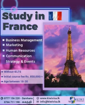 Study Abroad - Kiwi International