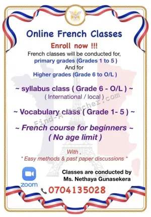Online French Class
