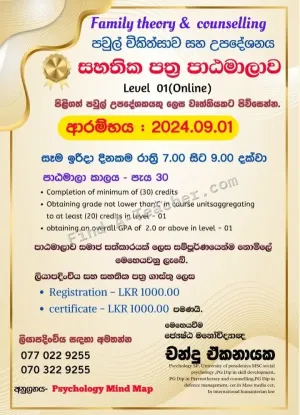 Family Theory and Counselling