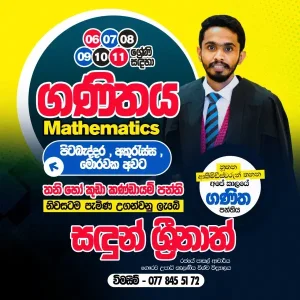 Grades 6, 7, 8, 9, 10, 11, O/L - Mathematics Tuition