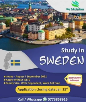 Study Abroad