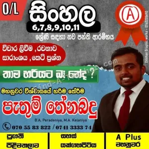 🌺නුවර සිංහල පන්තිය🌺