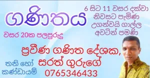 Mathematics Grade 6-11 - Individual or Group Classes