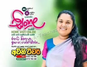 Grade 1 to Grade 11 - Sinhala Language Classes