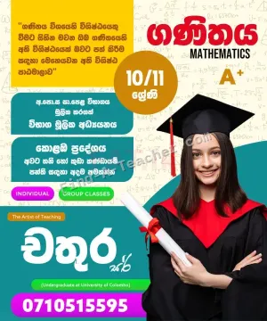O/L Mathematics Group and Individual Classes - Colombo