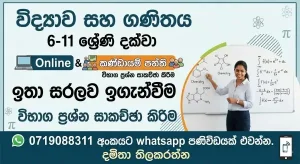 6-11 ශ්‍රේණි සදහා විද්‍යාව සහ ගණිතය
