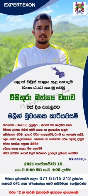 Ornamental fish farming Online Course