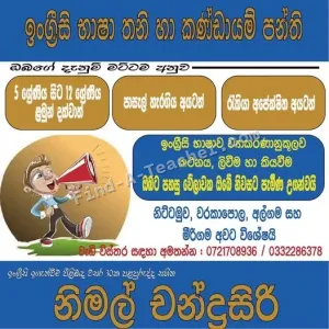 English Individual and Group Classes