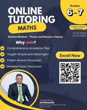 Online Tutoring Maths (Grades 6-7)