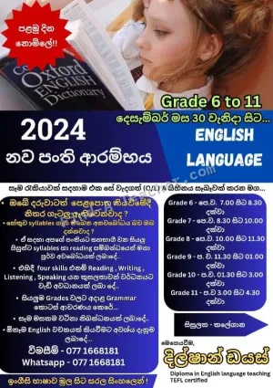 Grade 6-11 English Tuition