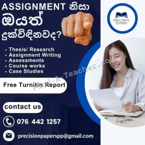 Assignment Help