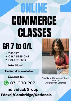Business Studies, Accounting and English Online Tuition