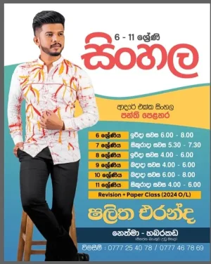 6-11 Sinhala Classes