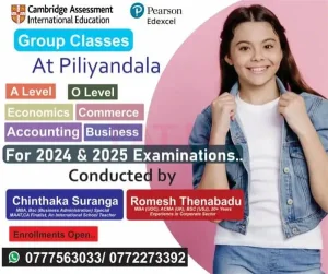 Edexel / Cambridge OL / AS / AL - Accounts / Economics / Business Studies / Commerce - Exams 2024/25