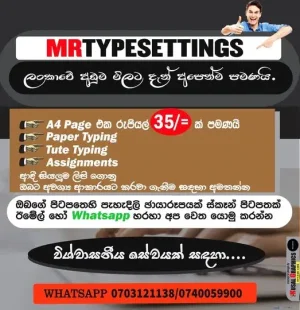 Type Setting - Paper Typing, Tute Typing, Assignments