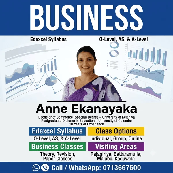 Business Studies (Cambridge / National)